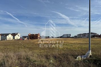 Parcela de 600 mp, in Mosnita Noua anunturi imobiliare Timis