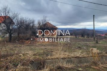 Teren de vanzare MUSETESTI - Gorj anunturi imobiliare Gorj