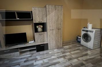 Garsonieră de vanzare BLASCOVICI - Timis anunturi imobiliare Timis