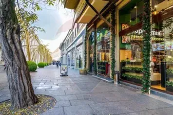 Spațiu comercial premium, 3 niveluri, Str. Universității, Cluj-Napoca anunturi imobiliare Cluj