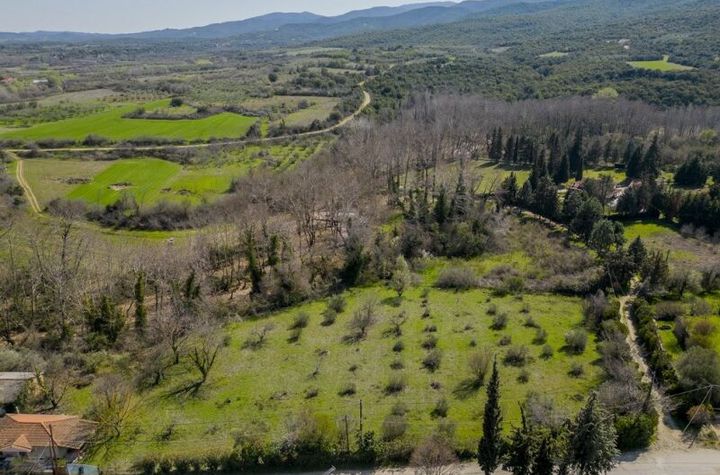 Teren construibil 4.000 mp în Oreskia anunturi imobiliare Grecia