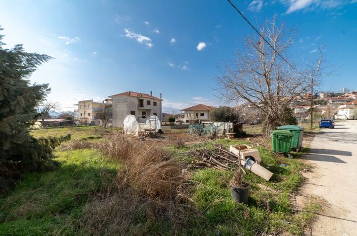 Teren construibil 399,22 mp în Amigdaleonas anunturi imobiliare Grecia