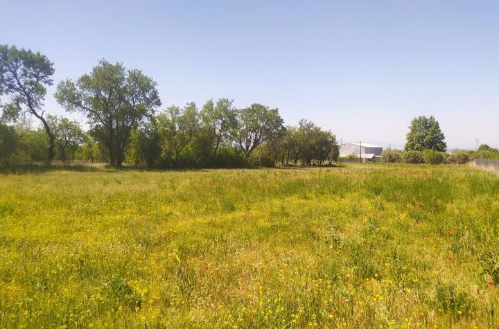 Teren construibil 2.950 mp în Sidirokastro Serres anunturi imobiliare Grecia