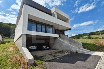 Vilă - 5 camere de vanzare CHINTENI - Cluj anunturi imobiliare Cluj