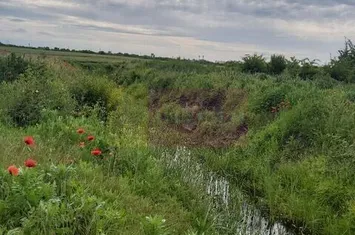 Teren Corbeanca- Drumul Garii Odai. anunturi imobiliare Bucuresti