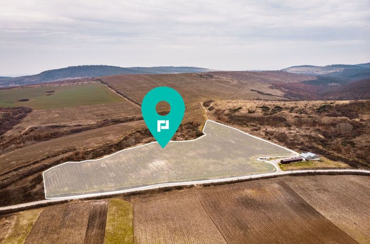 Vie de 115 Hectare în satul Dud, județul Arad anunturi imobiliare Arad