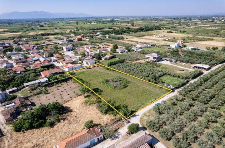Teren construibil 3.550 mp în Gravouna anunturi imobiliare Grecia
