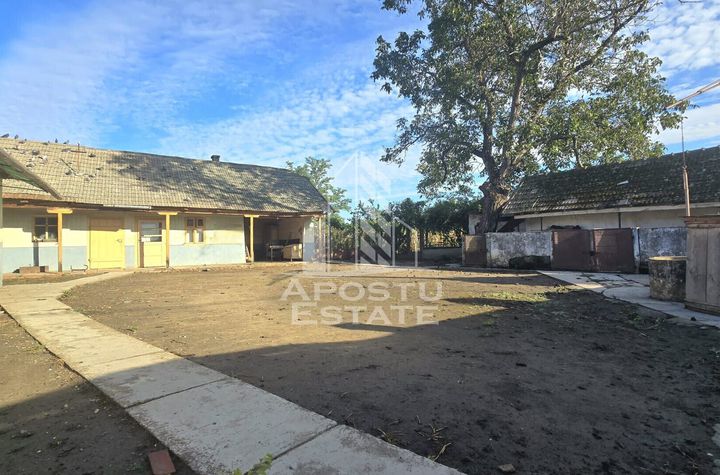 Casa cu teren in localitatea Simand anunturi imobiliare Arad