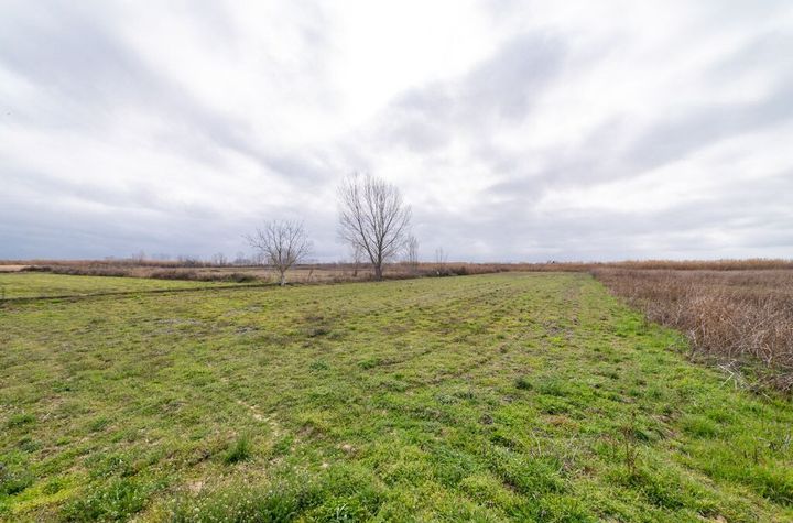 Teren agricol 10.436 mp în Chrysochori anunturi imobiliare Grecia
