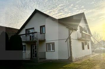 Casă - 6 camere de vanzare PECIU NOU - Timis anunturi imobiliare Timis