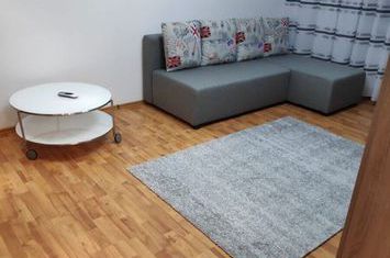 Inchiriez garsoniera Parcul Circului-Lacul Tei, langa LIDL, Bd. Lacul Tei, la 12 minute metrou Stefan cel Mare, renovata, bloc reabilitat termic. anunturi imobiliare Bucuresti