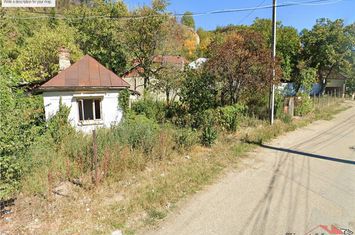 Teren Intravilan de vanzare NORD-VEST - Vrancea anunturi imobiliare Vrancea