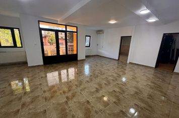 Casa de inchiriat Timpuri Noi 204 m anunturi imobiliare Bucuresti