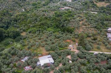 Teren construibil 6.596 mp în Chrisi Ammoudia, Thassos anunturi imobiliare Grecia
