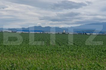 Teren de vanzare GHIMBAV - Brasov anunturi imobiliare Brasov