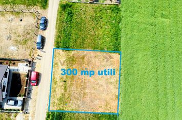 Teren Intravilan de vanzare COMUNA BERCENI - Bucuresti anunturi imobiliare Bucuresti