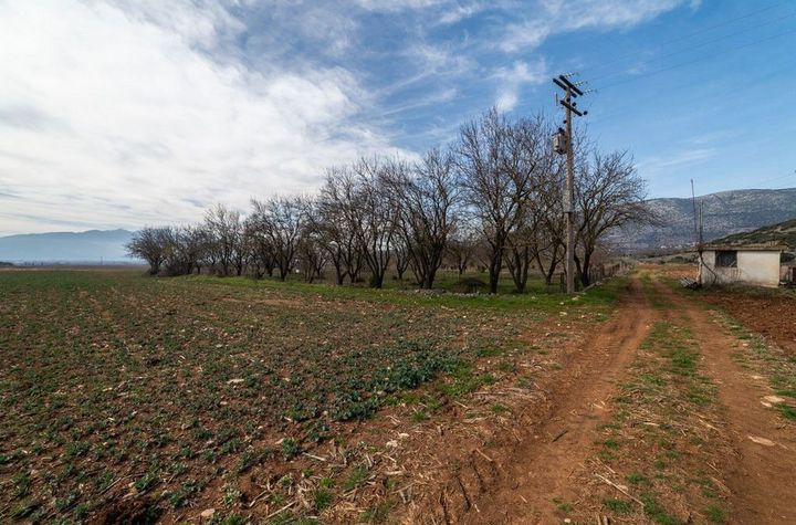 Teren construibil 5.363 mp în Φίλιπποι anunturi imobiliare Grecia