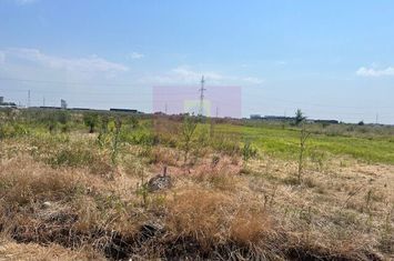 Teren Domnesti- Fortului. anunturi imobiliare Bucuresti