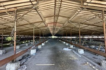 Ferma de vanzare  in Simeria anunturi imobiliare Hunedoara