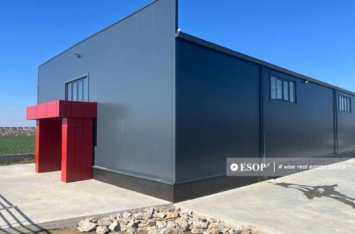 Spațiu industrial de vanzare MAGURELE - Bucuresti anunturi imobiliare Bucuresti