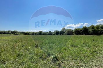 TEREN  INTRAVILAN  5000mp ORAS CISNADIE  STR. SELIMBARULUI anunturi imobiliare Sibiu