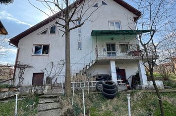 Vilă - 3 camere de vanzare COLTAU - Maramures anunturi imobiliare Maramures