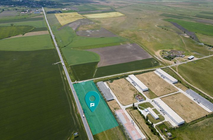 Teren Intravilan Investiții 11.600 mp Salonta anunturi imobiliare Bihor