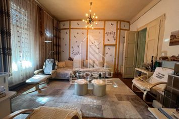Casa individuala  7 camere, 3 bai, garaj, teren 1129 mp, zona Iosefin anunturi imobiliare Timis