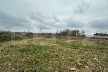 Teren de vanzare SUCEAVA - Suceava anunturi imobiliare Suceava