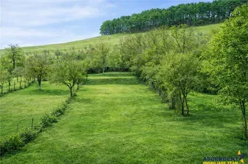 Vilă - 12 camere de vanzare EXTERIOR EST - Brasov anunturi imobiliare Brasov