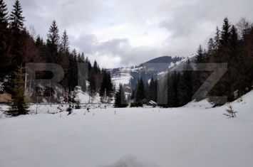 Vilă - 5 camere de vanzare DEALU BAJULUI - Alba anunturi imobiliare Alba