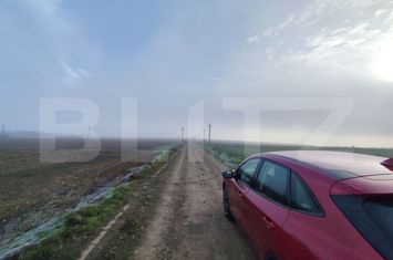Teren de vanzare MIROSLAVA - Iasi anunturi imobiliare Iasi