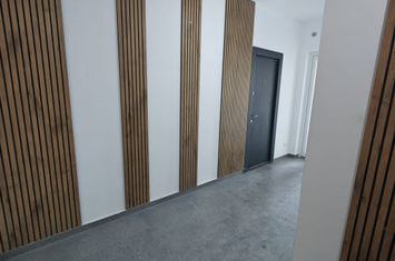 Apartament 2 camere de vanzare MEHALA - Timis anunturi imobiliare Timis