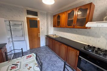 2 camere Drumul Gazarului 58 mp P/4 anunturi imobiliare Bucuresti