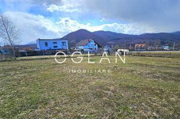 Teren de vanzare CISNADIOARA - Sibiu anunturi imobiliare Sibiu