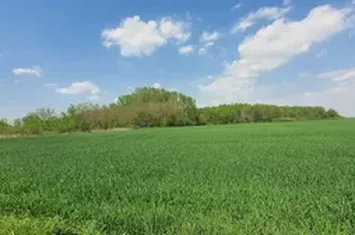 TEREN 16.872 mp - tarla T20, Barbuceanu, DB anunturi imobiliare Dambovita