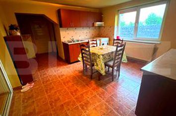 Vilă - 5 camere de vanzare BLAJ - Alba anunturi imobiliare Alba