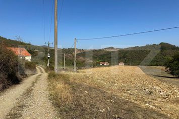 Teren de vanzare VINTU DE JOS - Alba anunturi imobiliare Alba