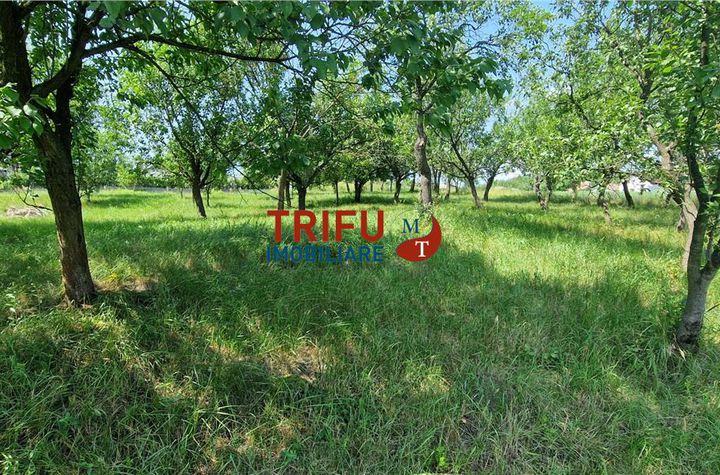 Teren Intravilan de vanzare CENTRAL - Alba anunturi imobiliare Alba