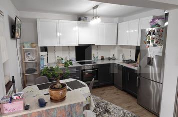Vilă - 3 camere de vanzare ARONEANU - Iasi anunturi imobiliare Iasi