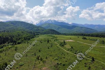 Teren Intravilan de vanzare AVRIG - Sibiu anunturi imobiliare Sibiu