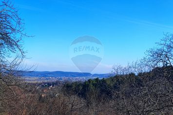 Teren intravilan de vânzare – Vale (Saliste), județul Sibiu anunturi imobiliare Sibiu