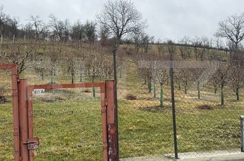 Teren de vanzare DEJ - Cluj anunturi imobiliare Cluj