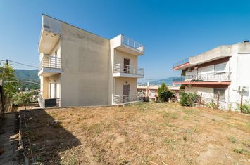 Casă individuală 330 mp în Amigdaleonas anunturi imobiliare Grecia