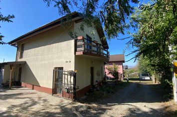 Vilă - 5 camere de vanzare PIETRARIA - Iasi anunturi imobiliare Iasi