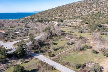 Teren agricol 1.126 mp în Skala Marion, Thassos anunturi imobiliare Grecia
