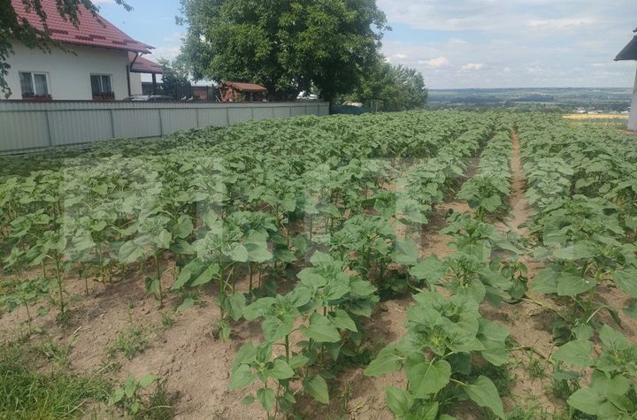 Teren de vanzare GRAMESTI - Suceava anunturi imobiliare Suceava