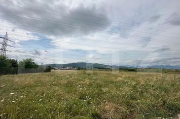 Teren de vanzare AMPOI 3 - Alba anunturi imobiliare Alba