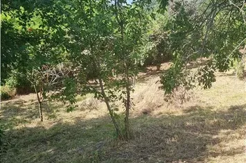 Casă - 2 camere de vanzare IONESTI - Valcea anunturi imobiliare Valcea