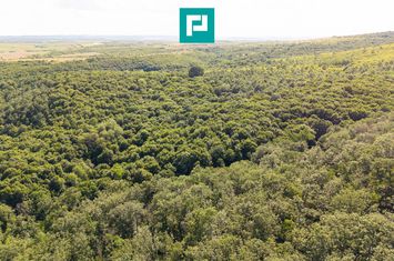 TEREN AGRICOL EXTRAVILAN  22.900 MP LIPOVA anunturi imobiliare Arad